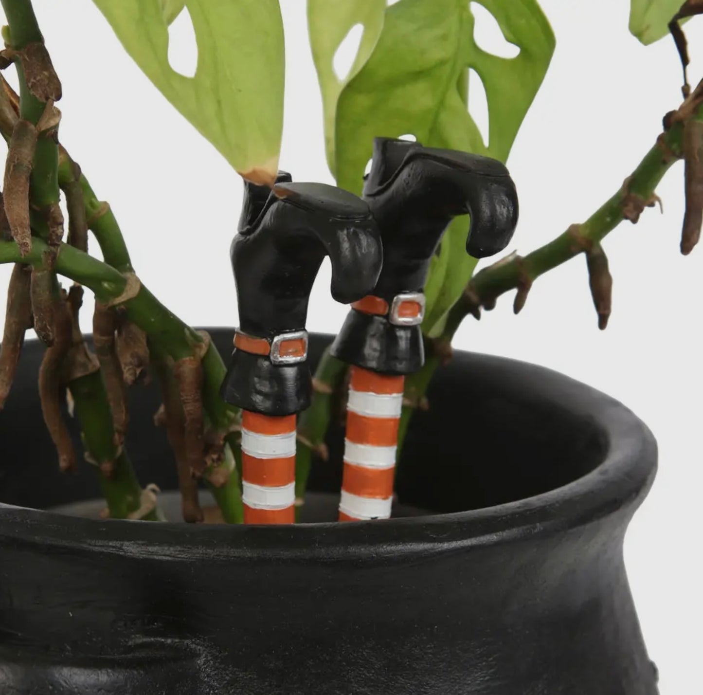 Witch Legs Plant Pot Ornament