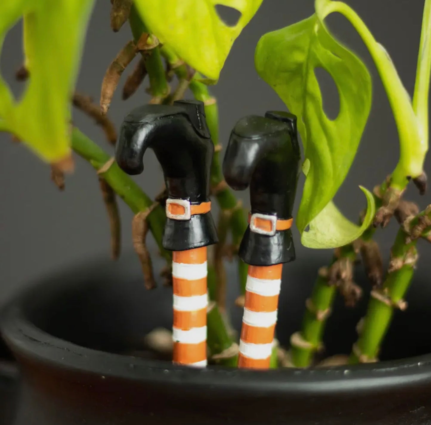 Witch Legs Plant Pot Ornament