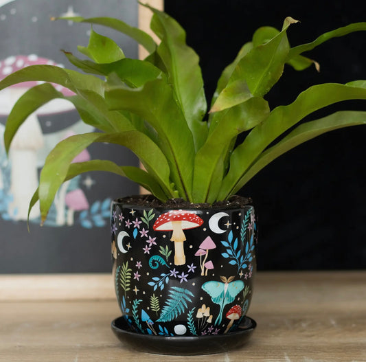Forest Print Ceramic Plant Pot with Saucer