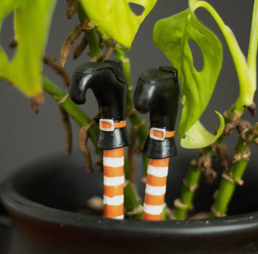 Witch Legs Plant Pot Ornament