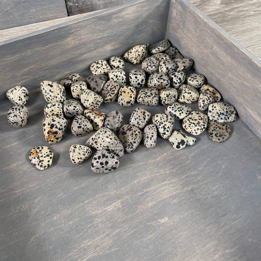 Dalmatian Jasper Tumbled Stones – 1 lb Wholesale Lot